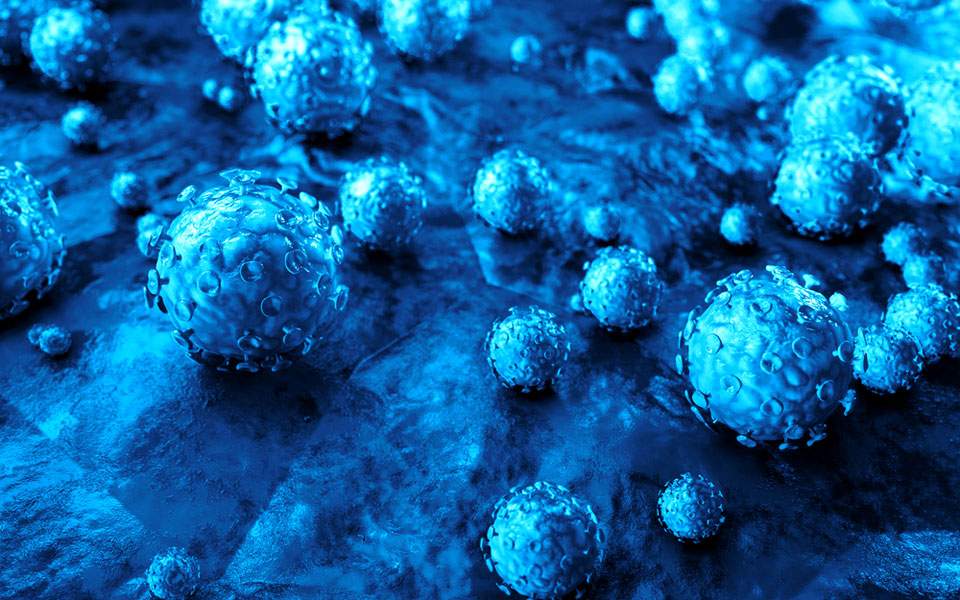 hpv