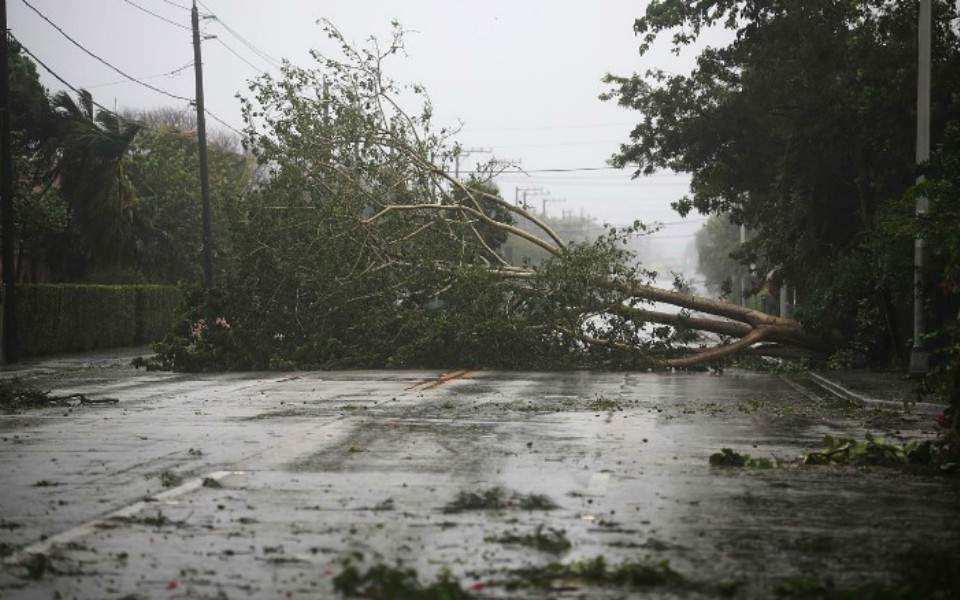 irmaflorida2817