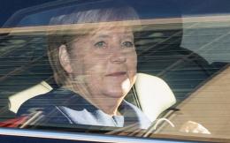 merkel546456