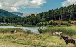 kouris_doxa_lake_2597