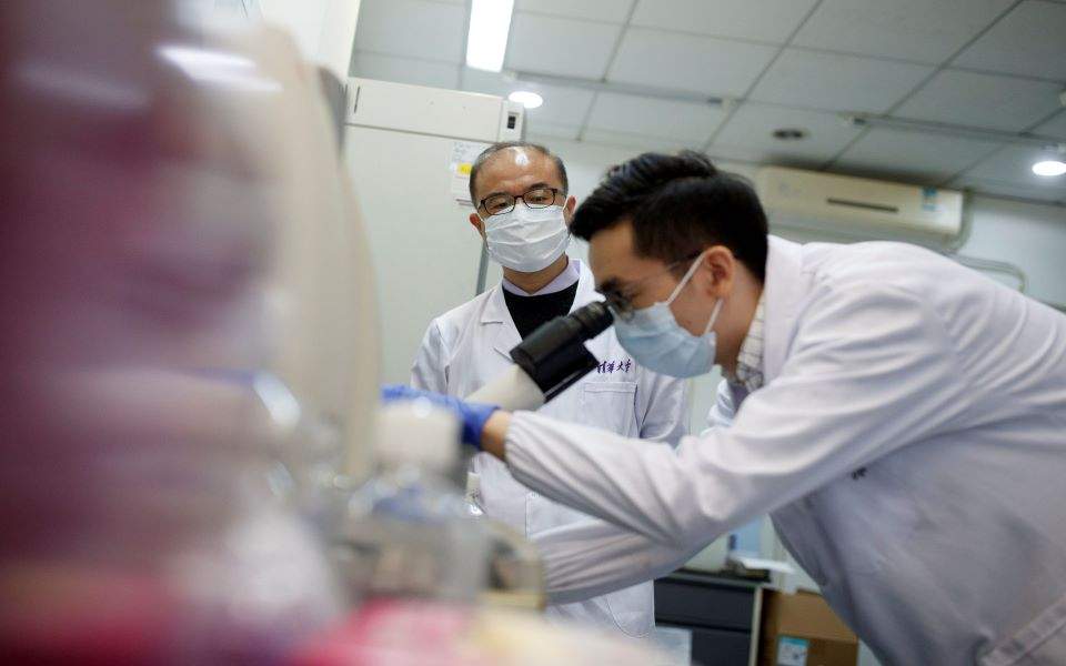 lab-coronavirus