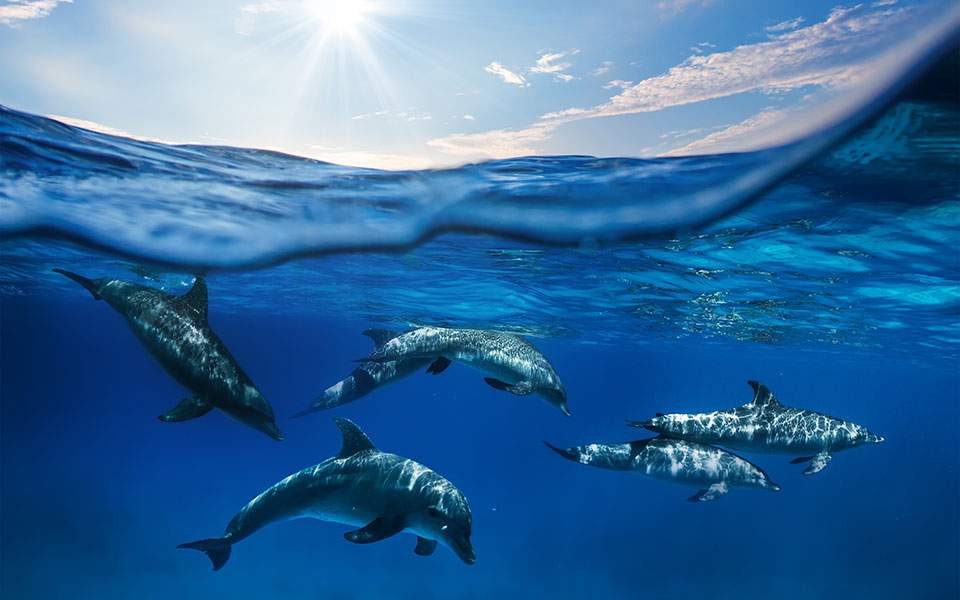 Η τελευταία ανάσα της Κάθι 2 shutterstock 254996563 thumb large